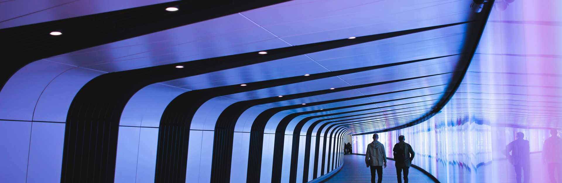 Digital Transformation in Government
