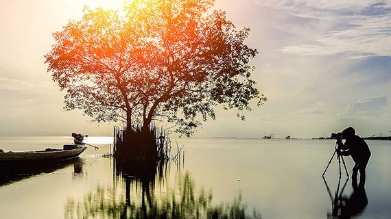 Integrated Digital Platform